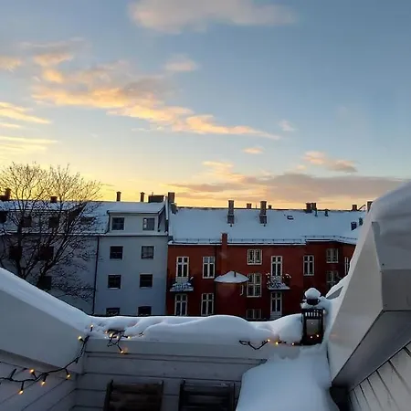 Apartment Oslo, Flott Solrik Toppleilighet Med Terrasse *