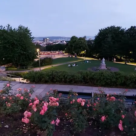Oslo, Flott Solrik Toppleilighet Med Terrasse *