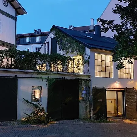 Oslo, Flott Solrik Toppleilighet Med Terrasse