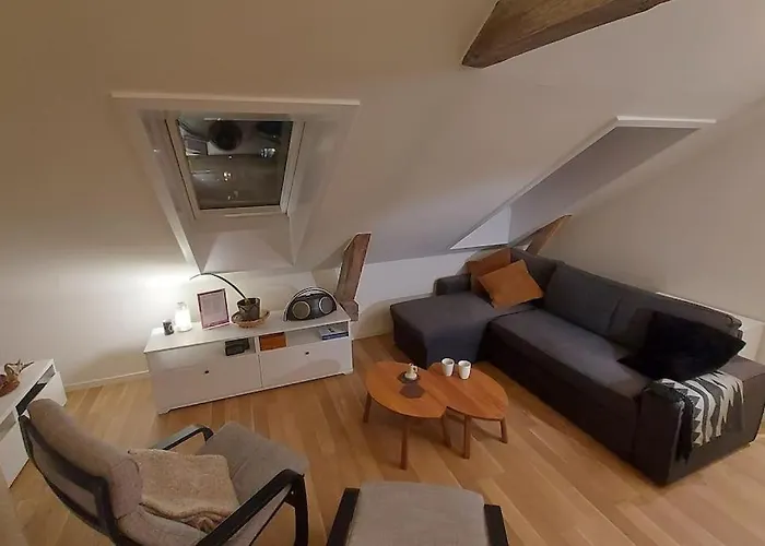 Apartamento Oslo, Flott Solrik Toppleilighet Med Terrasse