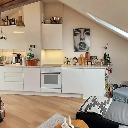 Oslo, Flott Solrik Toppleilighet Med Terrasse أوسلو