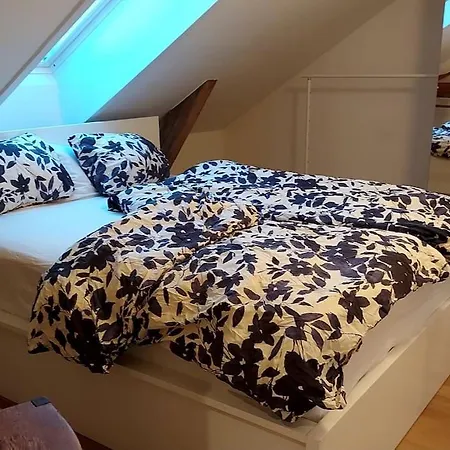 Oslo, Flott Solrik Toppleilighet Med Terrasse *